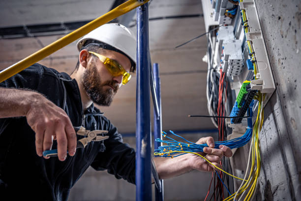 Best Electric Panel Repair  in Lake Linden, MI