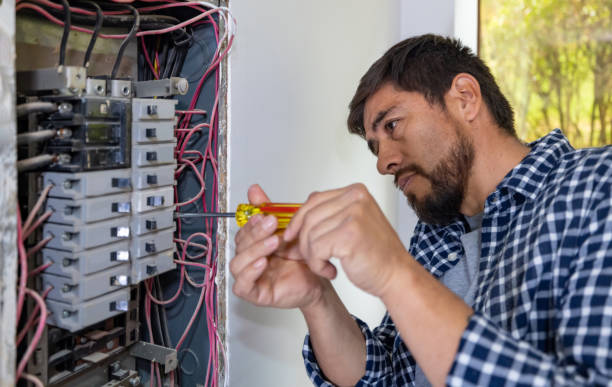 Best Electrical Upgrades for Homes  in Lake Linden, MI
